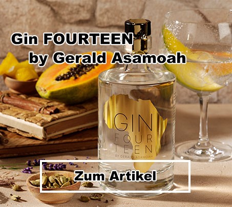 media/image/imagebanner-gin-fourteen-gerald-asamoah.jpg